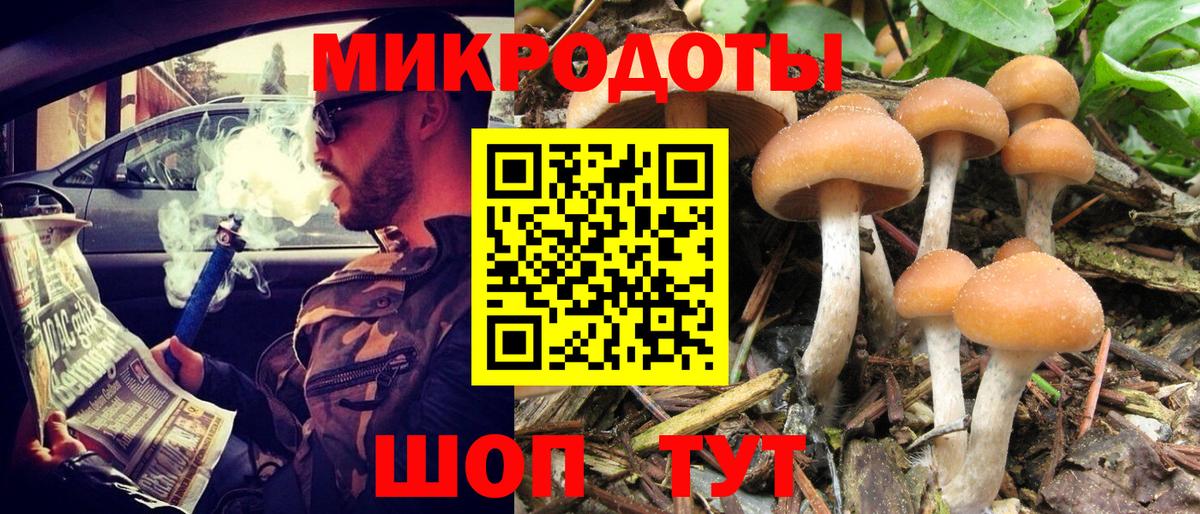 Псилоцибиновые грибы Psilocybine cubensis Майский