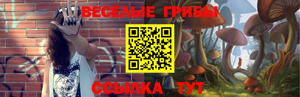 Псилоцибиновые грибы прущие грибы  Вход с VPN  Майский 
